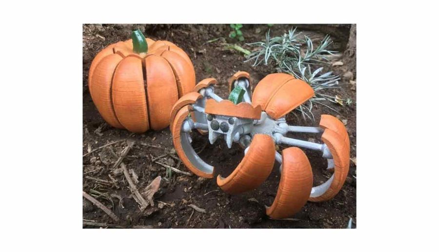 Halloween Pumpkin Spider Transformer