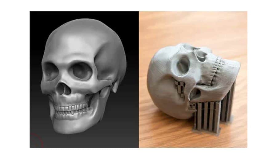 Skull from Taran3D