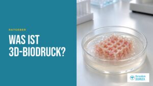 Was ist 3D-Biodruck? Was ist 3D-Biodruck?