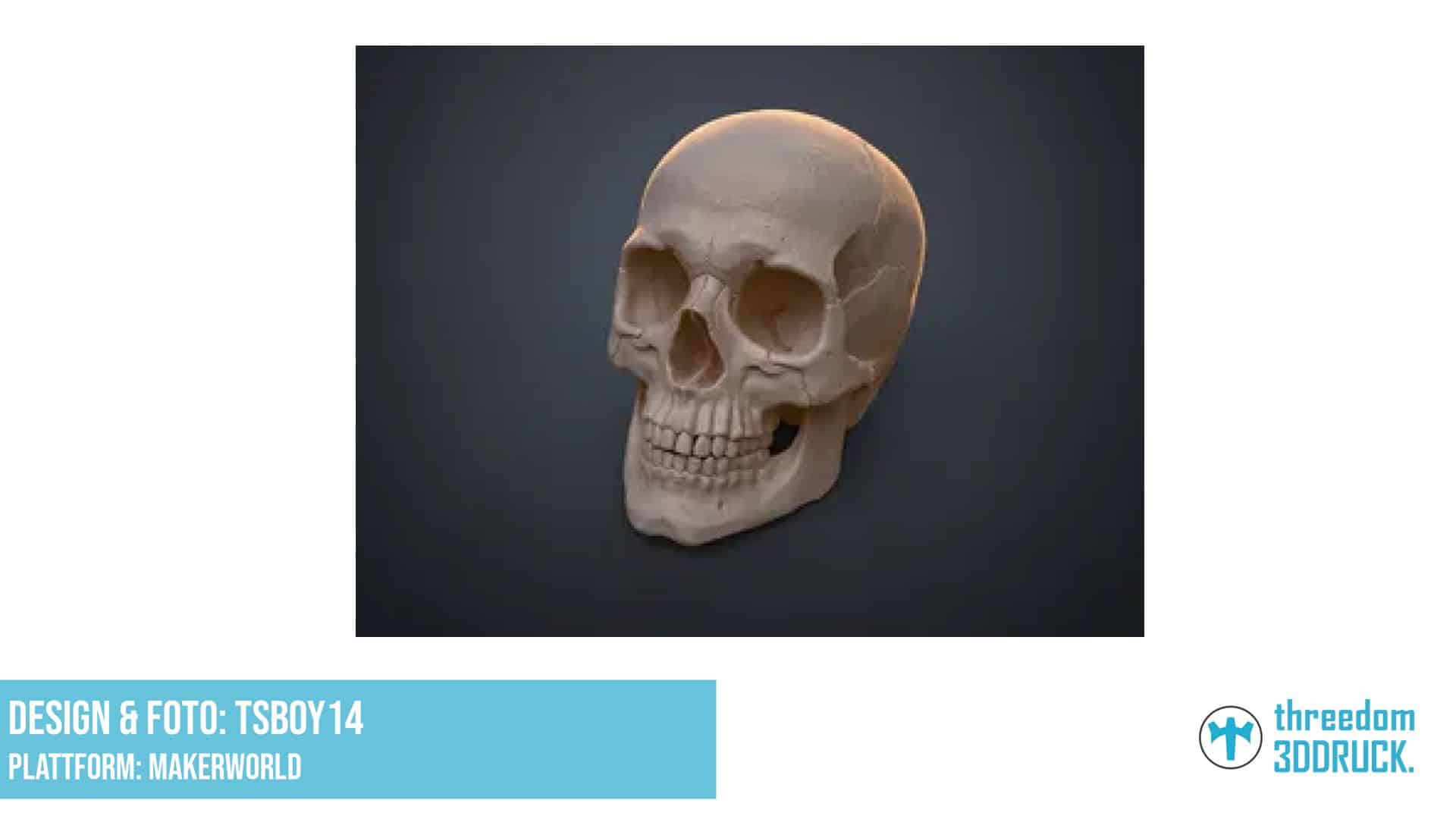 Anatomisch korrekter menschlicher Schädel 3D-Modell