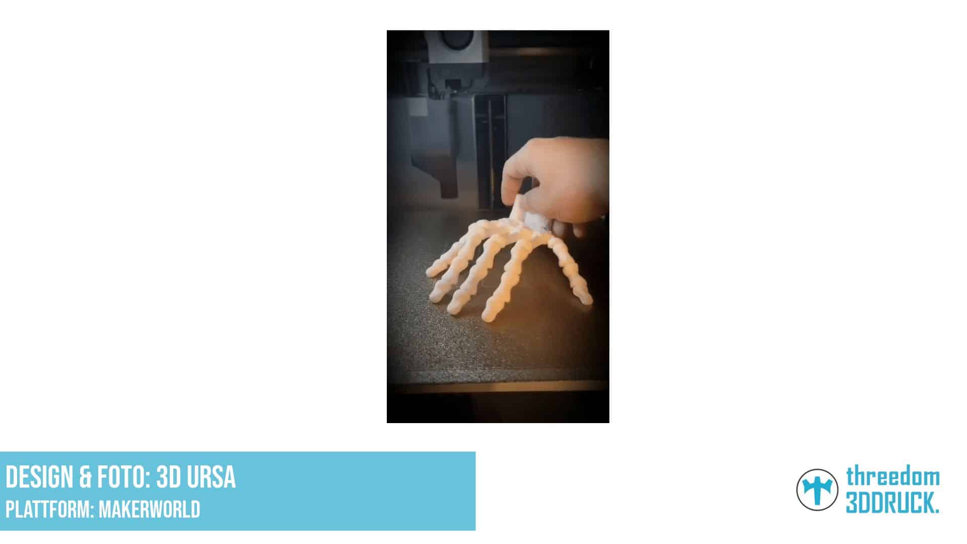 Gelenkige Skeletthand (druckfertig)