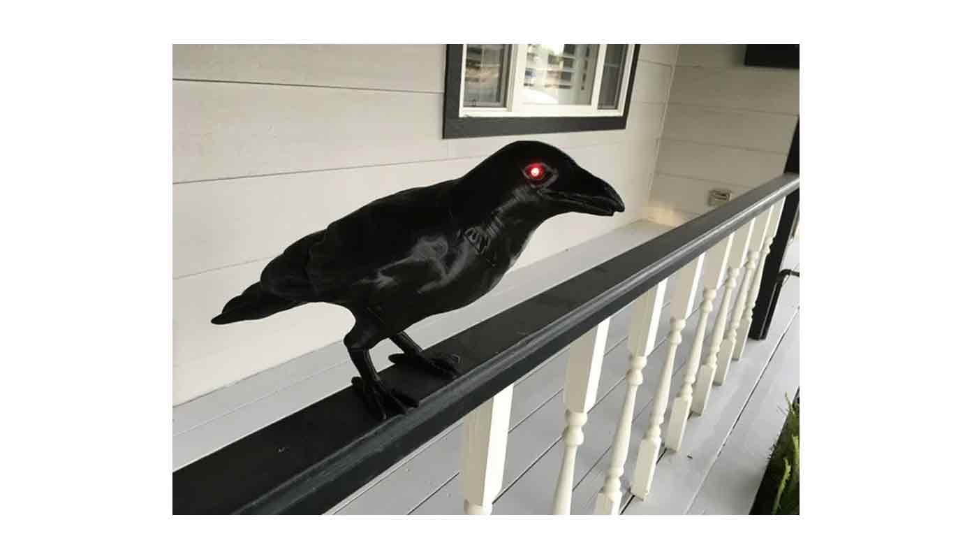 Halloween Krähe