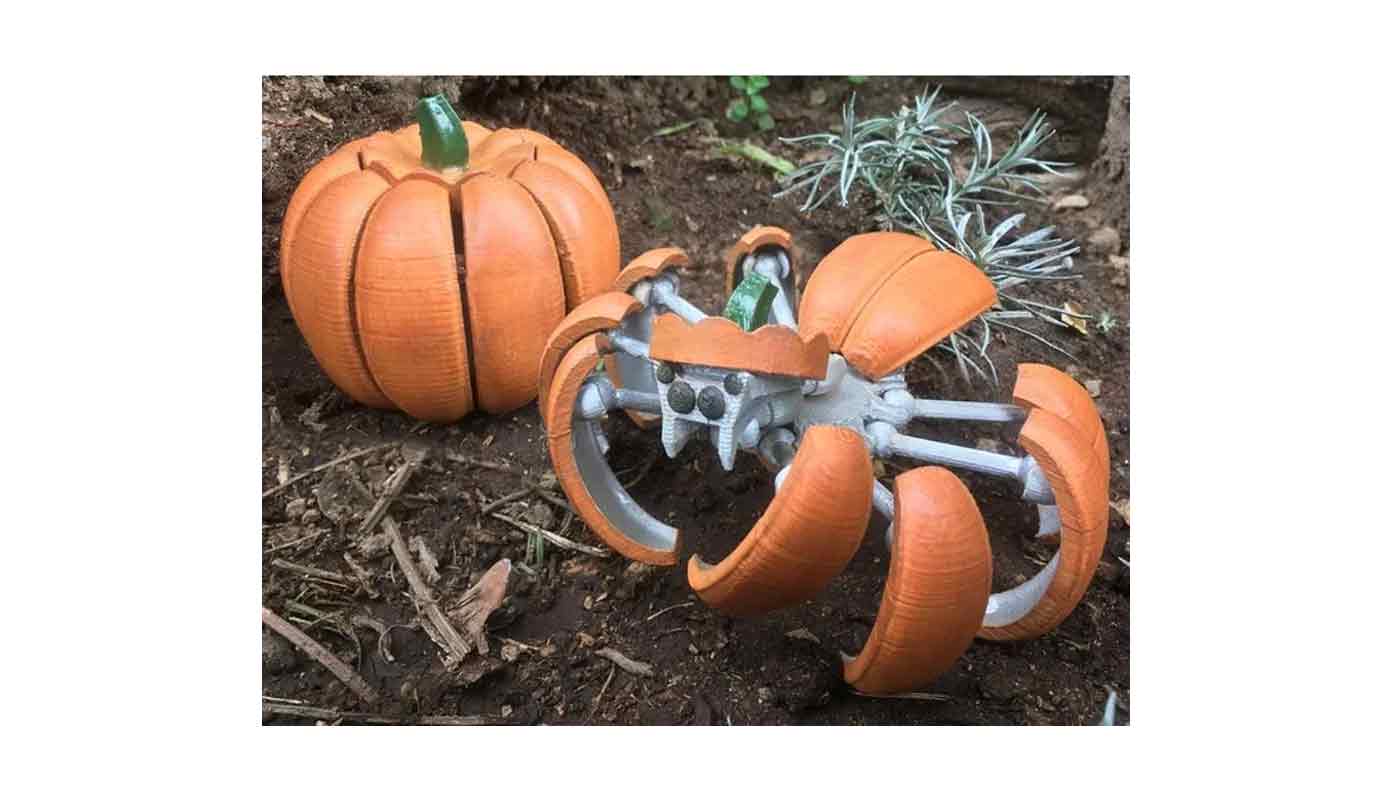 Halloween Kürbis Spinne-Transformer