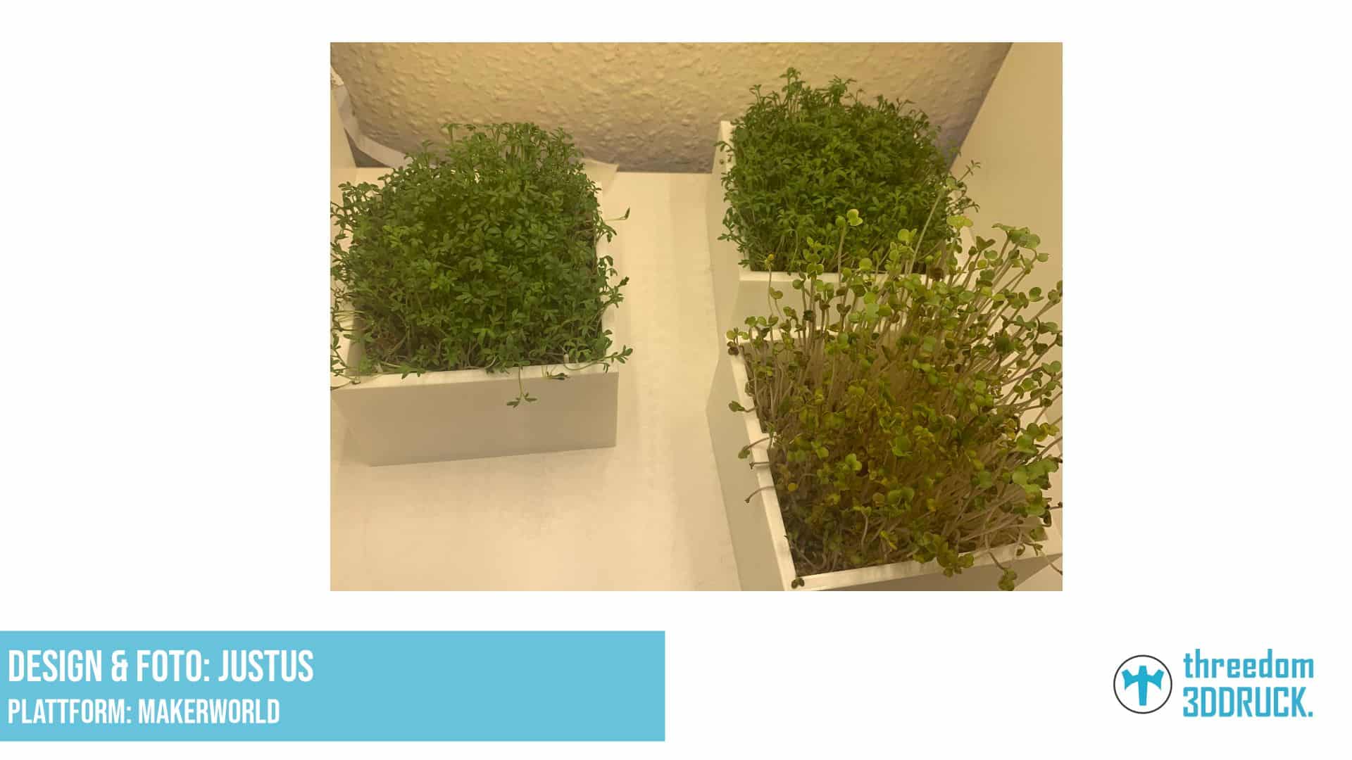 Hydroponischer Mikrogrün-Topf mit Mesh und Griff