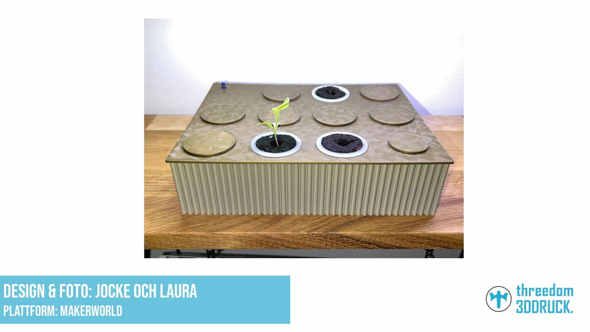 Hydroponisches Keimlingssystem (Kratky-Methode)