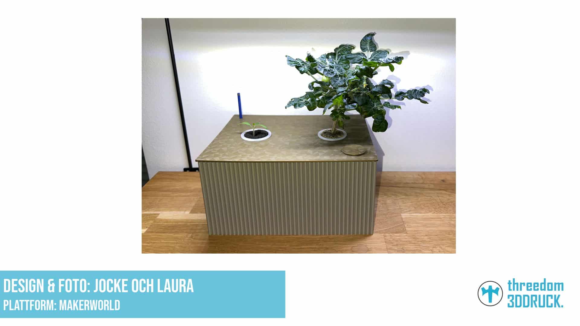 Hydroponik-Anzuchtsystem nach Kratky-Methode für 2 Netztöpfe 36mm