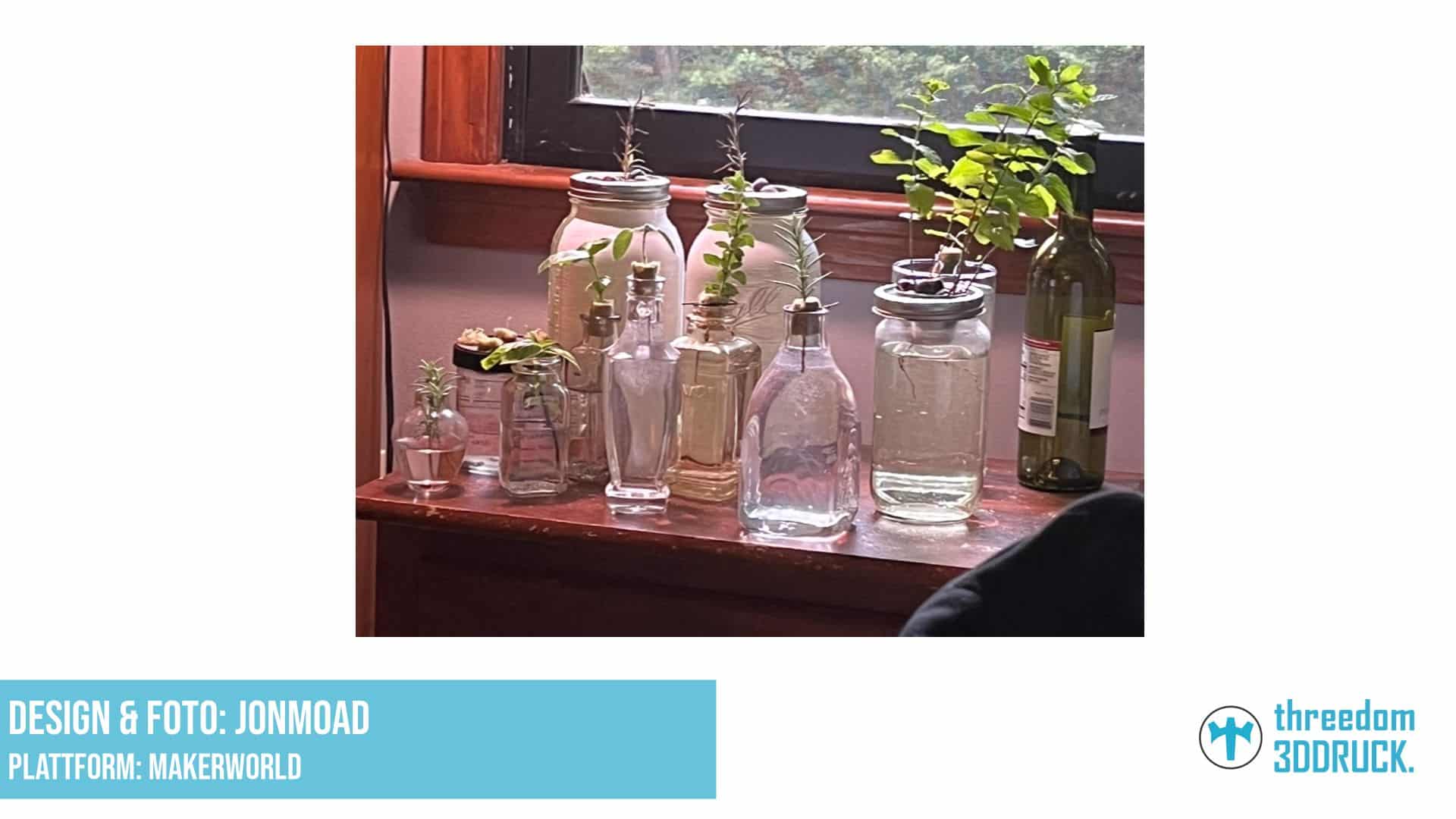 Kratky-Hydroponik-Set für Weinflaschen und Mason Jars