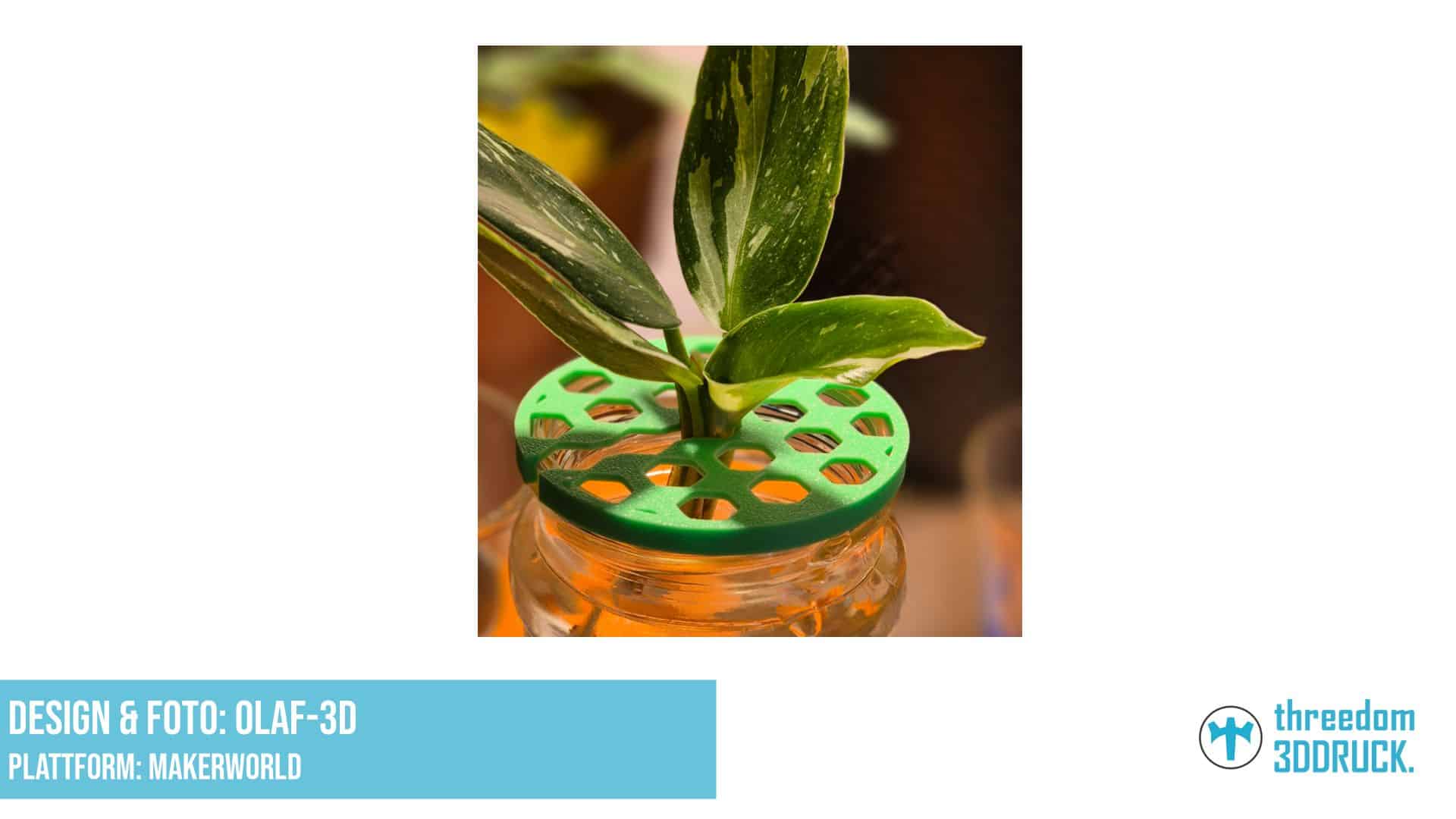 Stecklingshalter für Bewurzelungsgläser