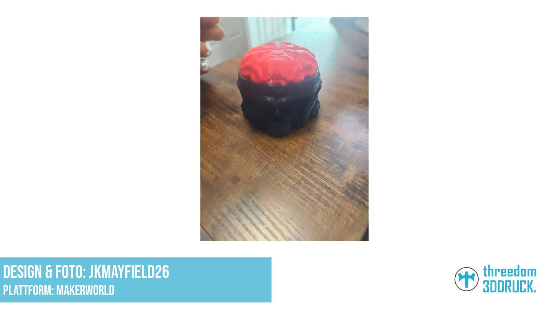 Vierkantiger Schädel mit Gehirn